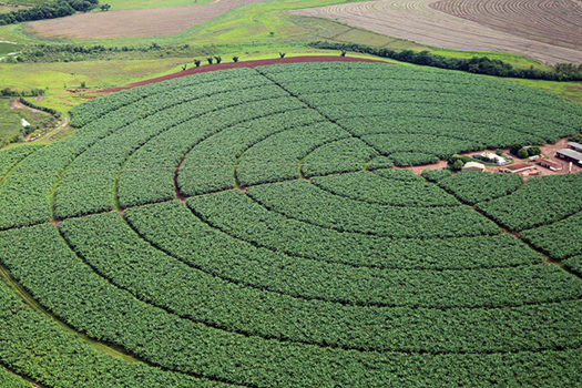 Governo publica novas regras para registro de defensivos agrícolas