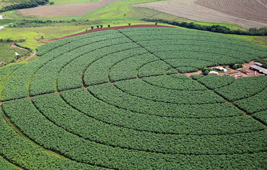 Governo publica novas regras para registro de defensivos agrícolas