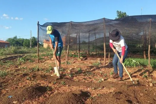 Trabalhadores pedem redução de juros para produzir alimentos no Brasil