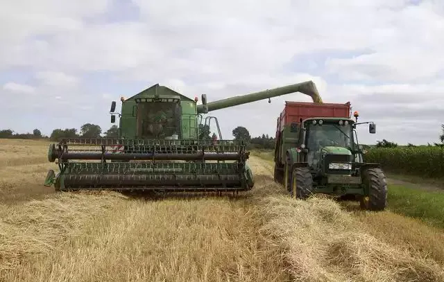 Valor Bruto da Produção Agropecuária em 2023 é estimado em R$ 1