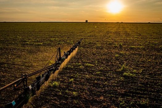 IBGE: 32% dos solos do país têm potencial natural para a agricultura