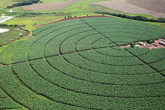 Índice de Confiança do Agronegócio tem melhor resultado trimestral