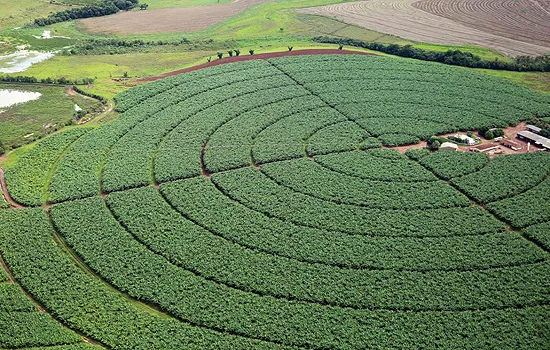 Índice de Confiança do Agronegócio tem melhor resultado trimestral