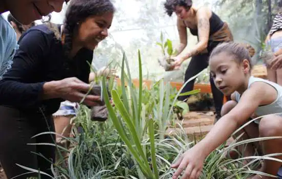 Sesc Santana oferece oficina de Agroecologia urbana