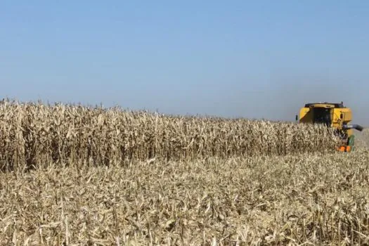 Agronegócio deve ter maior crescimento desde 2017