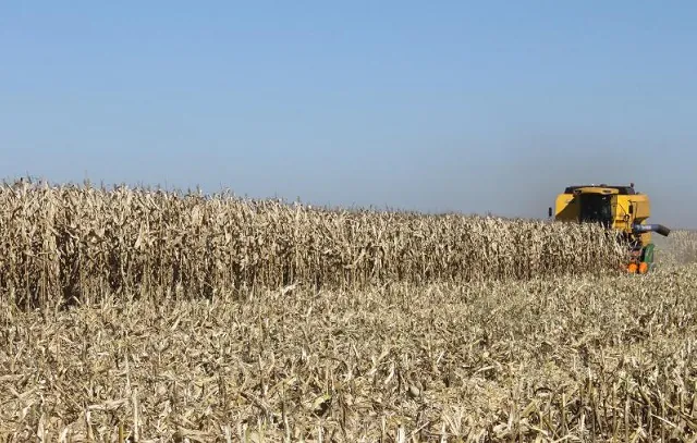 Agronegócio deve ter maior crescimento desde 2017