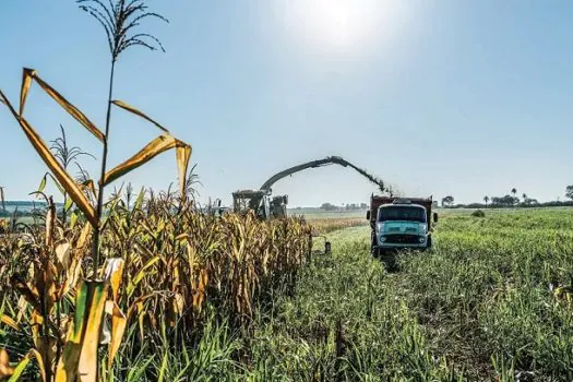 Governo busca apoio do agronegócio a texto da reforma tributária