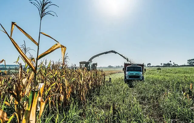 Governo busca apoio do agronegócio a texto da reforma tributária