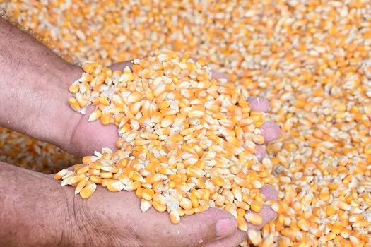 Produção agropecuária do Brasil alimenta 1 bilhão de pessoas no mundo