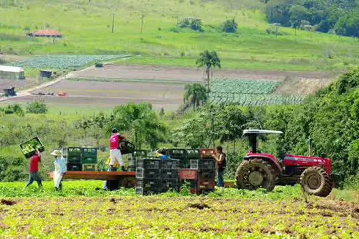 Agro 4.0: tendências tecnológicas impulsionam setor