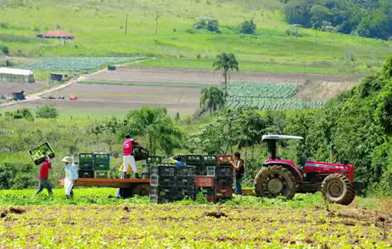 Agro 4.0: tendências tecnológicas impulsionam setor