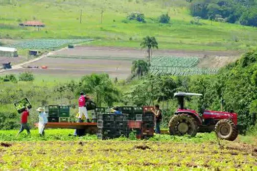 Projeto de empresa júnior ajuda a certificar pequenos produtores no mercado de orgânicos