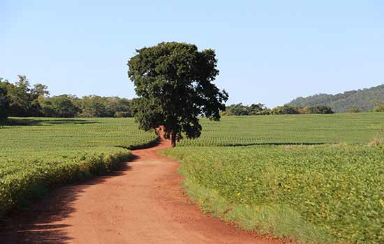 Novo edital do ‘Conexão Mata Atlântica’ beneficiará centenas de produtores rurais em SP