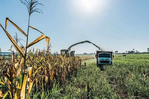 Fundação Coopercitrus Credicitrus abre inscrições para cursos voltados ao agronegócio