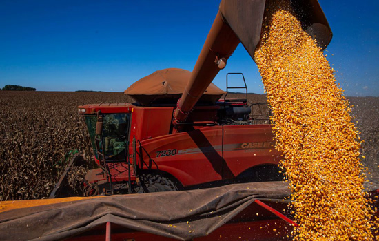 Índice de confiança do agronegócio tem alta no segundo trimestre