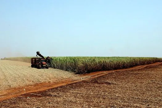 Brasil e Japão assinam acordo para desenvolver agricultura digital