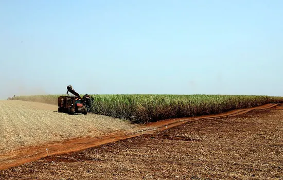 Brasil e Japão assinam acordo para desenvolver agricultura digital