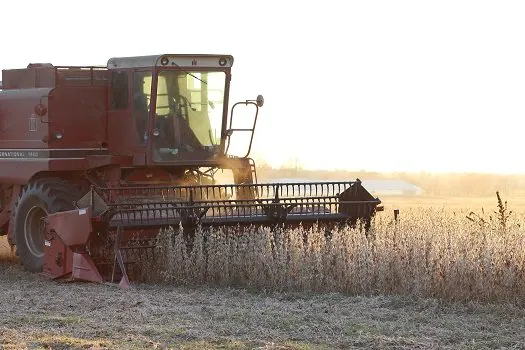 Possível calote da chinesa Evergrande pode impactar o agro brasileiro