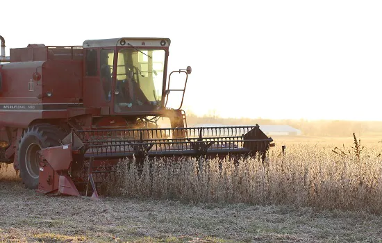 Possível calote da chinesa Evergrande pode impactar o agro brasileiro