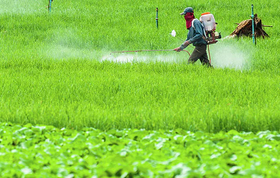 Rede vai ao Supremo contra liberação automática de agrotóxicos