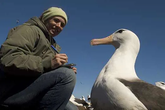 Projeto Albatroz e ICMBio assinam acordo para coordenação compartilhada de plano nacional