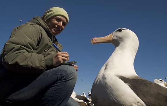 Projeto Albatroz e ICMBio assinam acordo para coordenação compartilhada de plano nacional