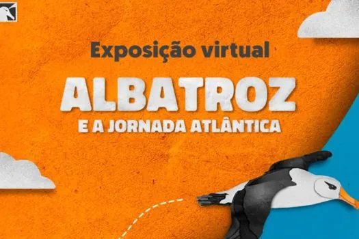 Exposição propõe imersão virtual na biologia e desafios de conservação dos albatrozes