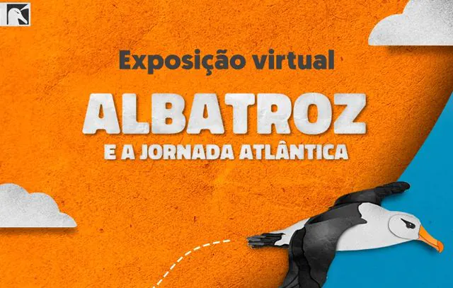 Exposição propõe imersão virtual na biologia e desafios de conservação dos albatrozes