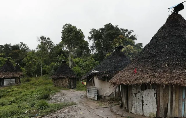 Ataque a tiros em aldeia yanomami mata criança e deixa cinco feridos