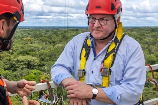 Alemanha retomará investimentos no Fundo Amazônia