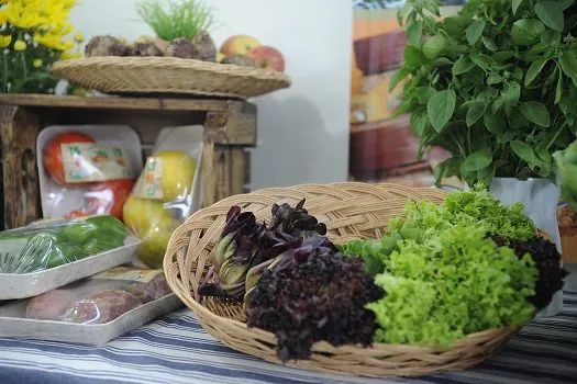 Mais da metade da população brasileira apresenta déficit na alimentação