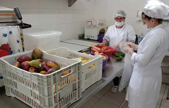 Ribeirão Pires entrega 600 kg de hortifruti para entidades sociais