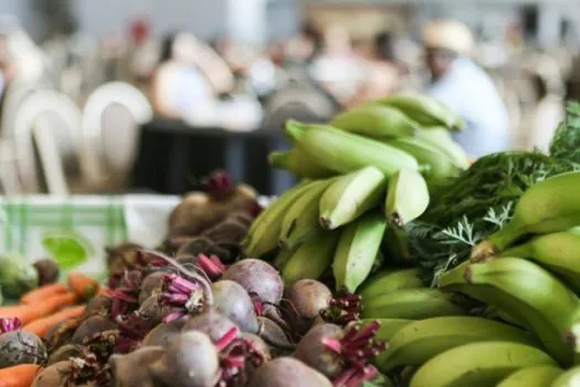 Governo Federal reajusta em até 39% o valor destinado à merenda escolar