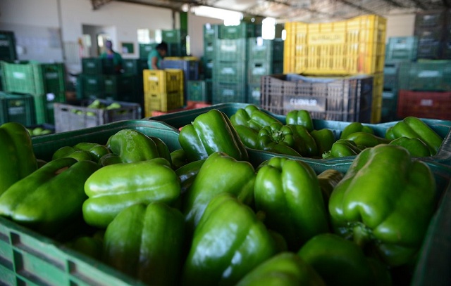 Brasil é o 10º país que mais desperdiça alimentos no mundo