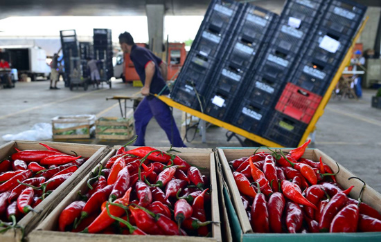 89% dos vegetais comercializados são seguros para consumo