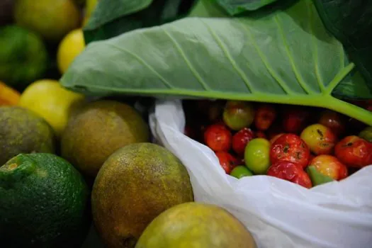 Seletividade alimentar: afeta crianças e adultos; especialistas explicam como lidar com a situação