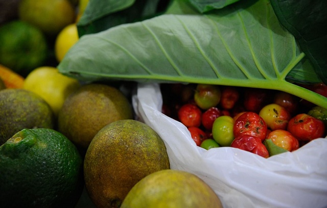 Alimentos