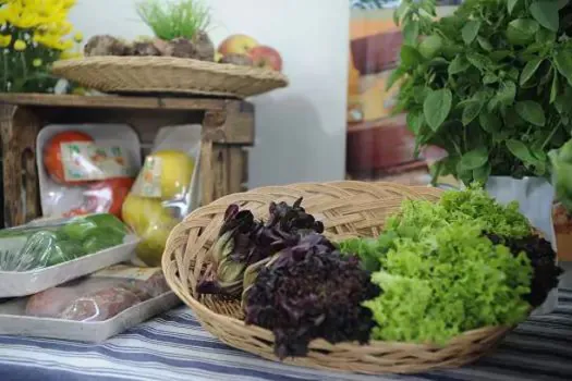 Dia Mundial da Alimentação: opções nutritivas para pessoas que seguem dietas restritivas