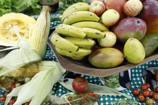 Moradores do Gazuza vão saber mais sobre nutrição alimentar