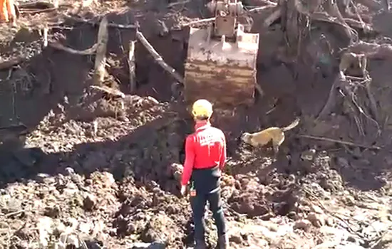 Bombeiros localizam almoxarifado da Vale em Brumadinho