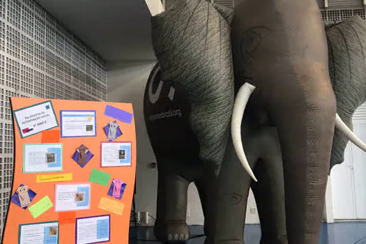 Estudantes promovem ações de conscientização sobre a exploração de animais silvestres