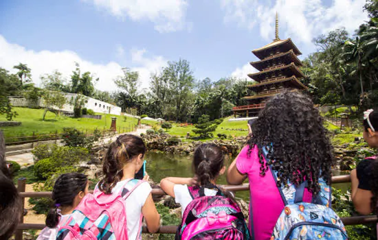 Alunos dos cursos culturais de Ribeirão Pires visitam a Torre de Miroku