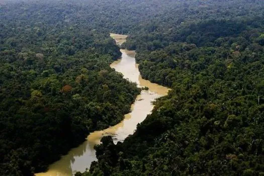 Seca no Amazonas: Estado tem menor superfície de água em 5 anos, diz MapBiomas