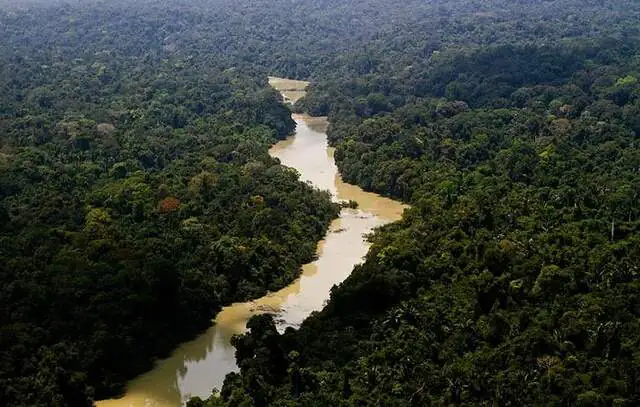 Estado do Amazonas passa a ter 17 línguas oficiais