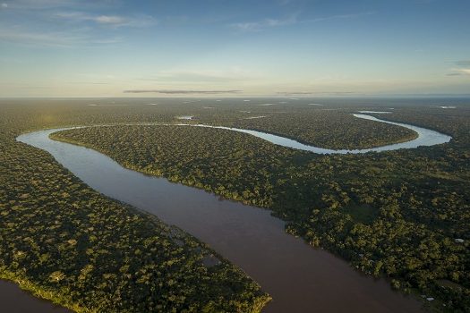 ONG NOSSAS lança projeto de lei para frear o desmatamento da Amazônia