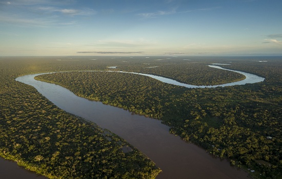 ONG NOSSAS lança projeto de lei para frear o desmatamento da Amazônia