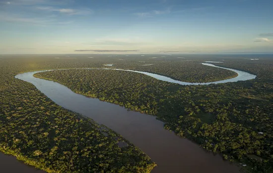 ONG NOSSAS lança projeto de lei para frear o desmatamento da Amazônia