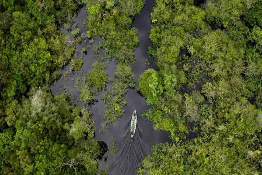 A pedido do governo eleito de Lula, Reino Unido avalia entrada no Fundo Amazônia