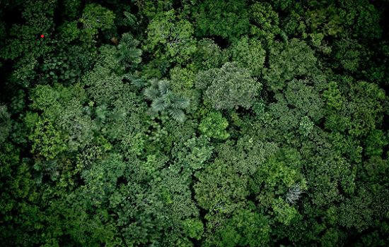 Imagem do documentário "Amazônia Eterna"