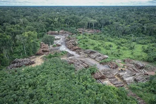 Amazônia tem 2º trimestre com maior desmate desde 2016